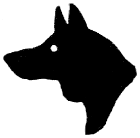 Escoteiros da Patrulha Lobo